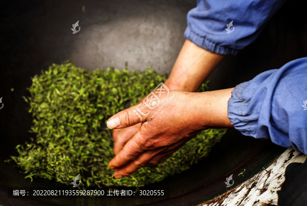 炒春茶