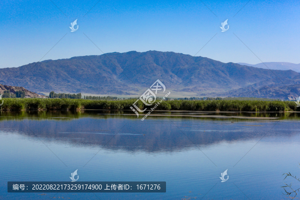 可可蘇里