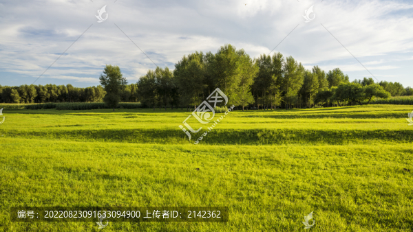 草場