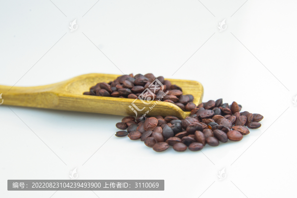 傳統(tǒng)助眠中藥材酸棗仁
