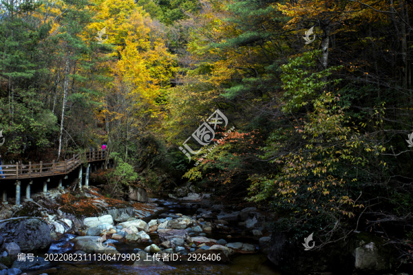 光霧山谷