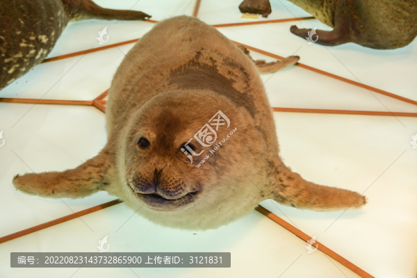 水瀨