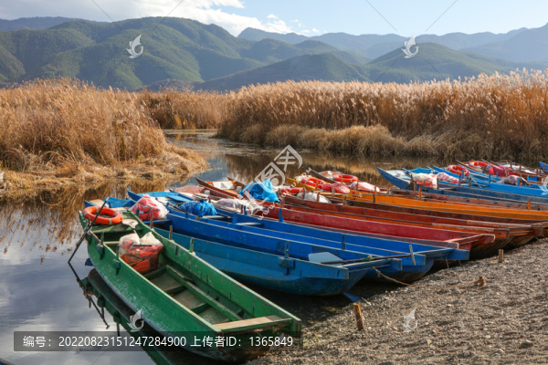 瀘沽湖草海
