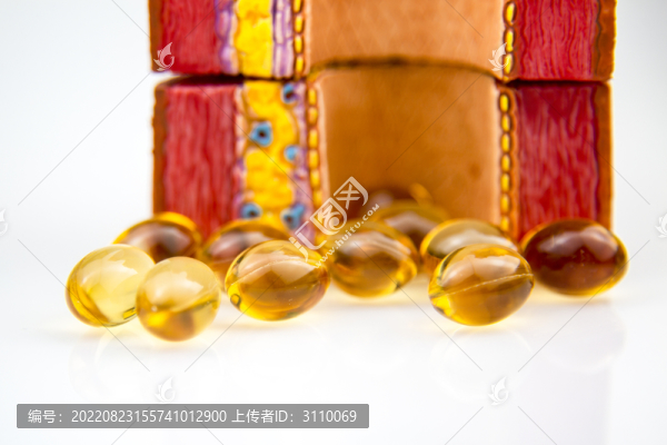 血管模型和魚油軟膠囊