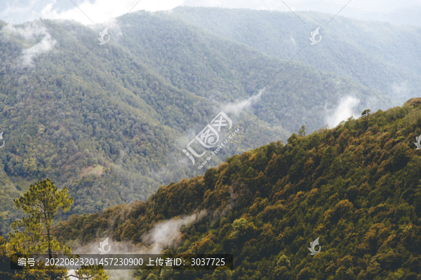 云霧繚繞的山