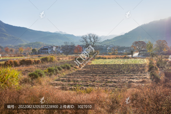塔川村