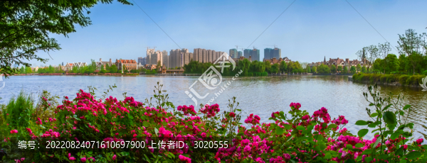 成都市華陽南湖公園