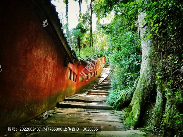 都江堰青城山天師洞