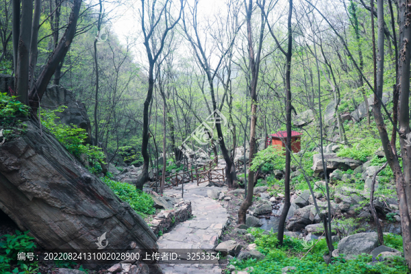 小路