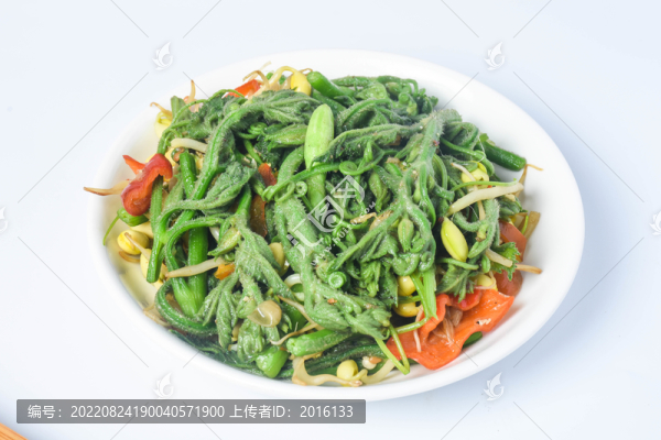 豆芽炒南瓜頭