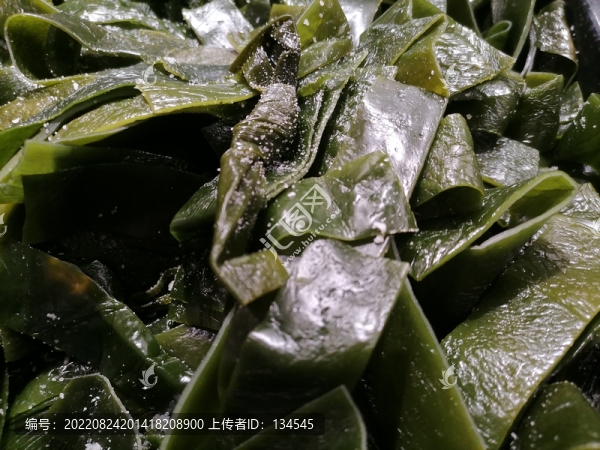 鹽漬海帶