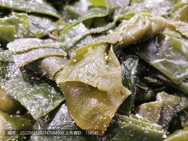鹽漬海帶