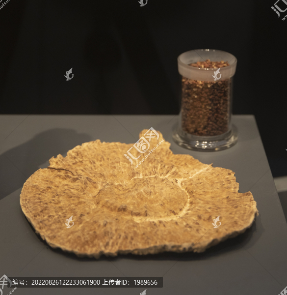 沉香木