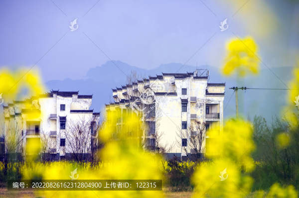 房子遠(yuǎn)山和花