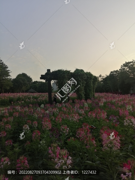 廈門園博園