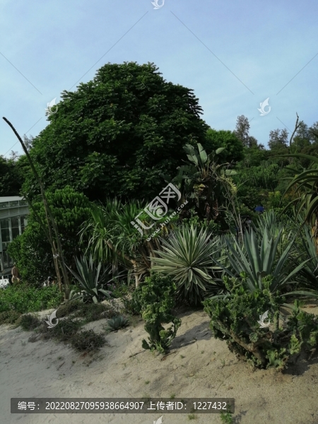 廈門萬石植物園