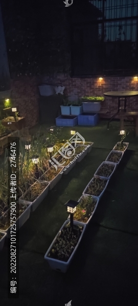 夜晚小菜園