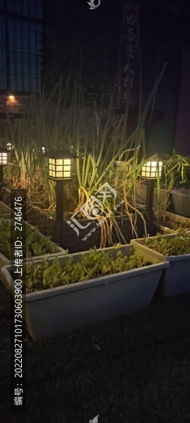 夜晚小菜園
