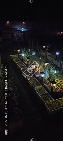 夜晚小菜園