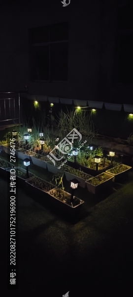 夜晚小菜園
