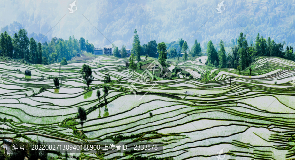 梯田