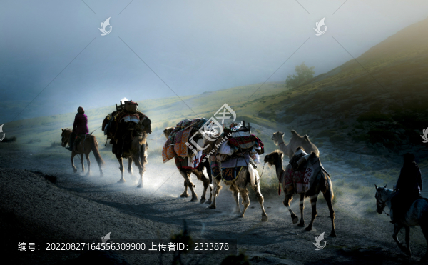 壩上風(fēng)光