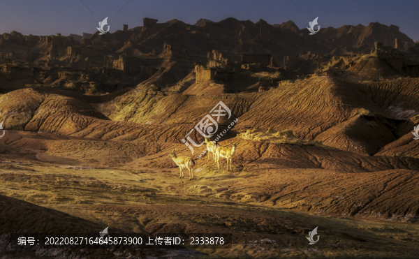西藏風(fēng)光