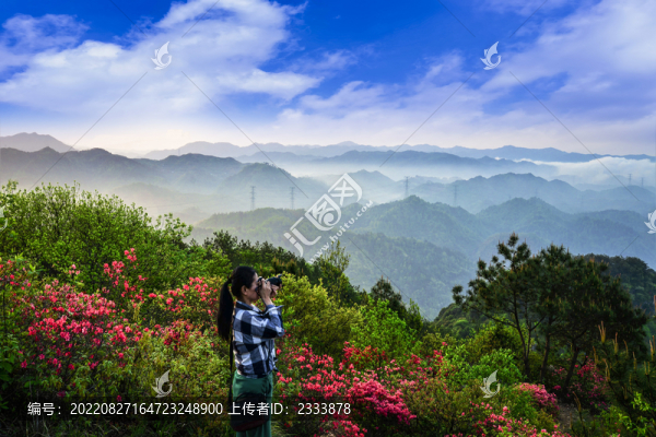 黃山旅游