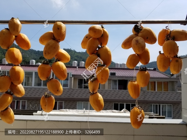 曬柿子