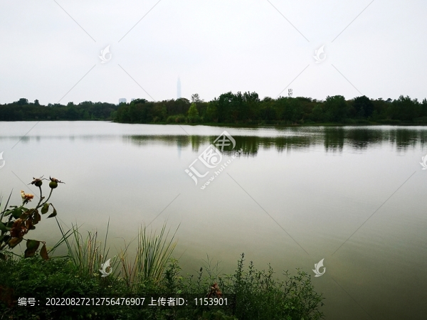 青龍湖