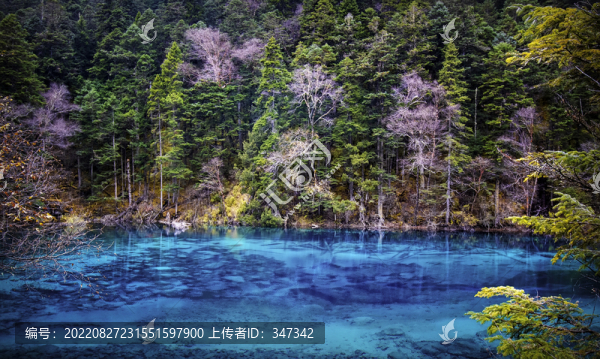 九寨溝秋景