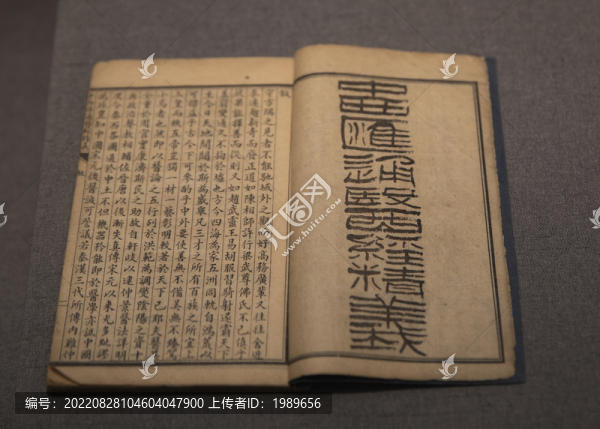 中西醫(yī)匯通醫(yī)經(jīng)精義