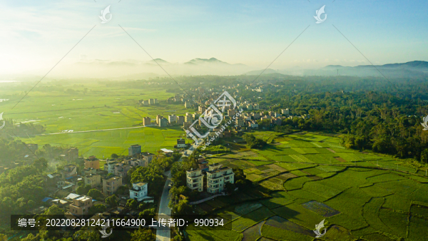 綠色鄉(xiāng)村