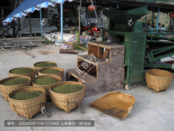 農(nóng)業(yè)專業(yè)合作社花椒脫殼場(chǎng)景