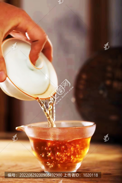 飲茶品茗泡茶