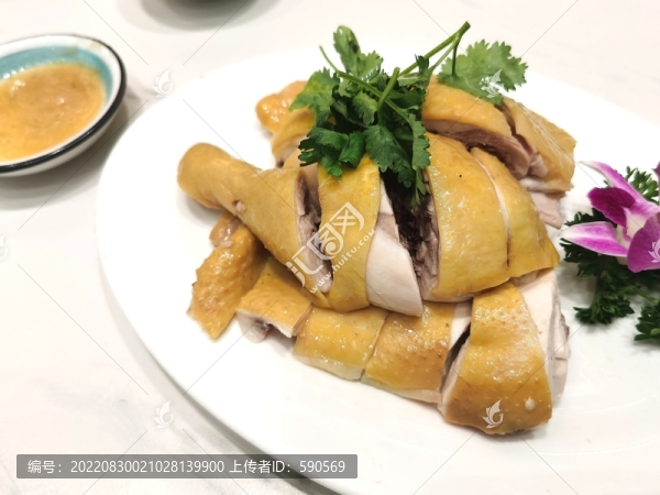 湛江雞