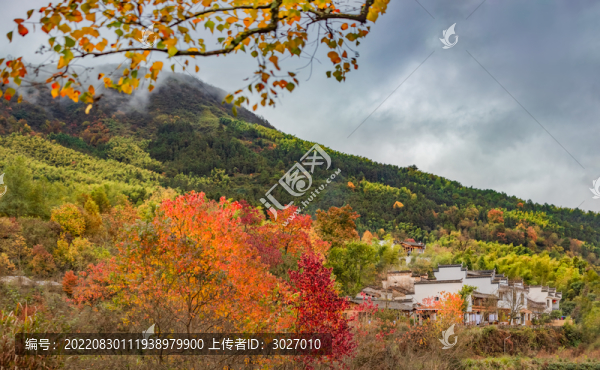 塔川秋色全景圖