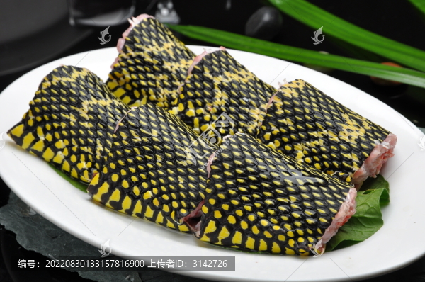 蛇段