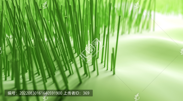 清爽的綠色背景