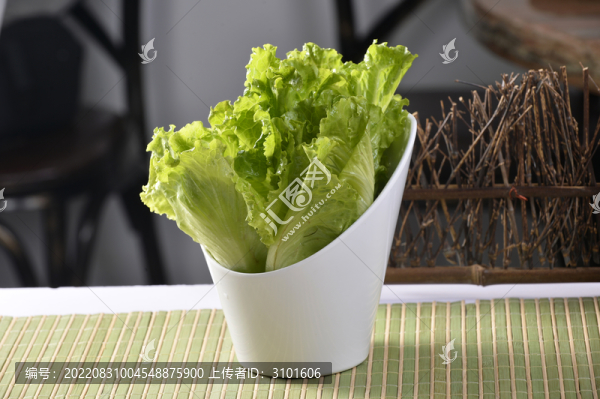 生菜