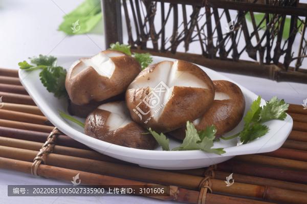 鮮冬菇