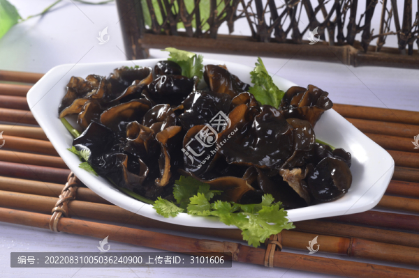 鮮木耳