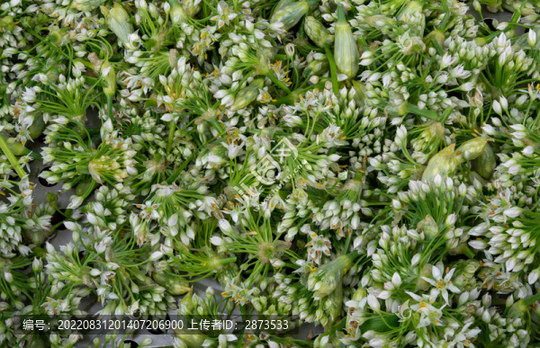 腌菜韭菜花