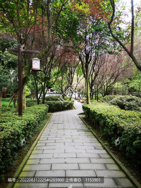 公園步道