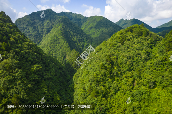 山脈
