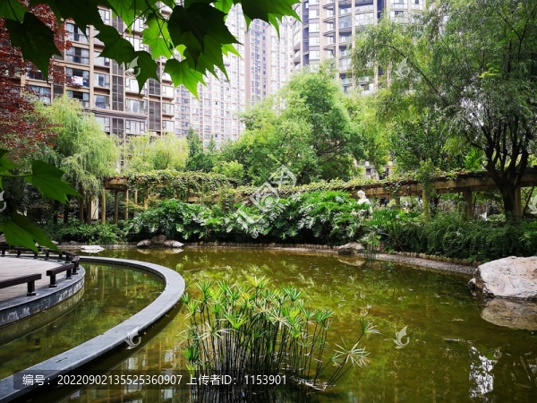 小區(qū)水景