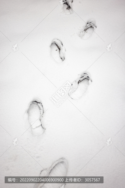 雪地里的腳印