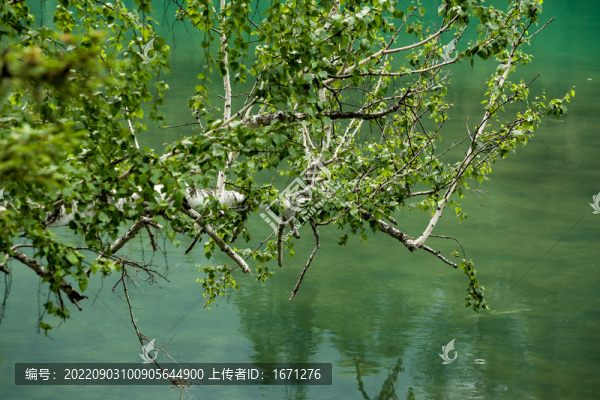 青山綠水