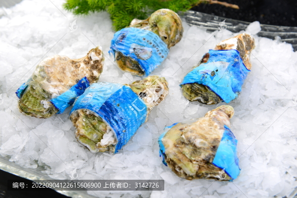 生蠔