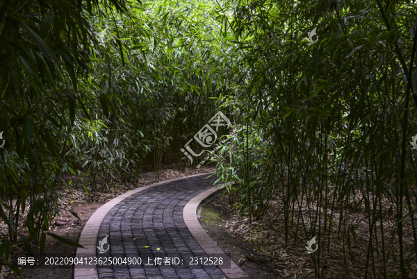 竹林小路